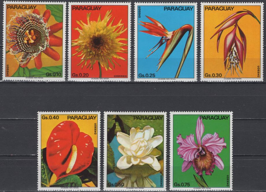 Paragvaj - Set od 7 - Flora / Cvijeće - Mi 2525~2531 - 1973