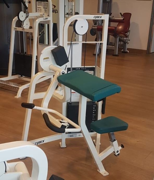 CYBEX ARM CURL I ARM EXTENSION VR