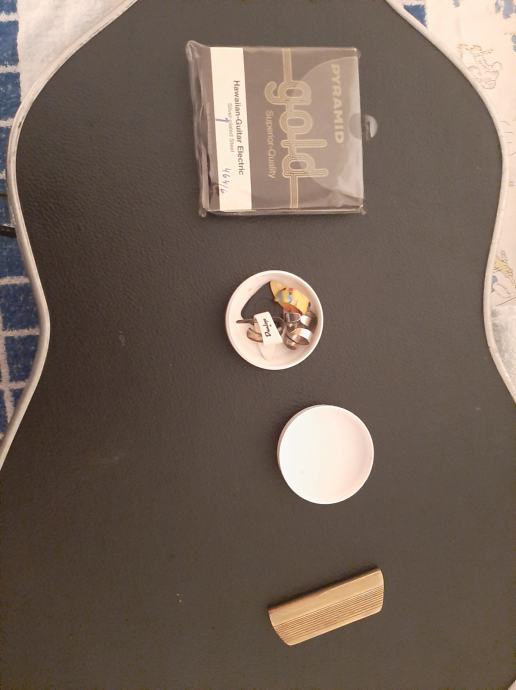 Havajska (lap steel) gitara ukulele tenor