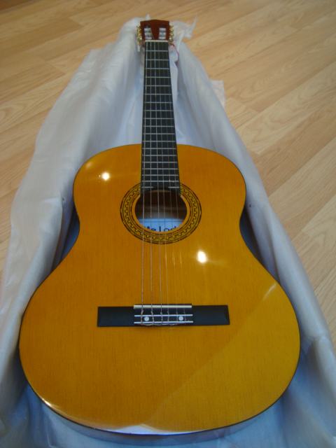 Klasična gitara za početnike MELODI M-08