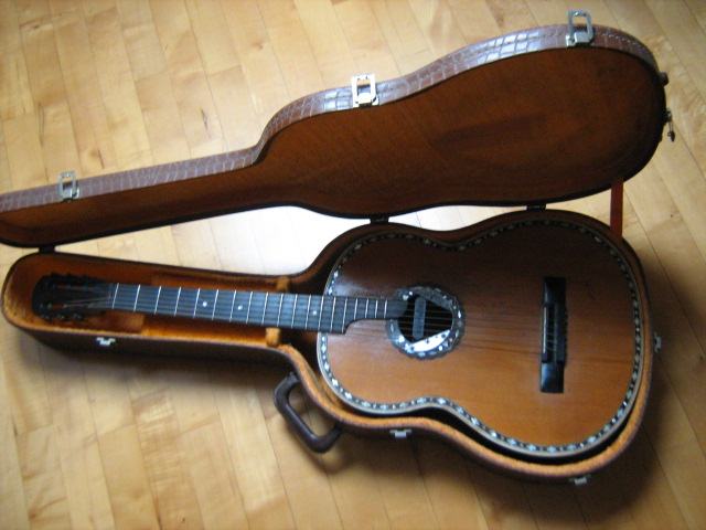 Schneider  gitara