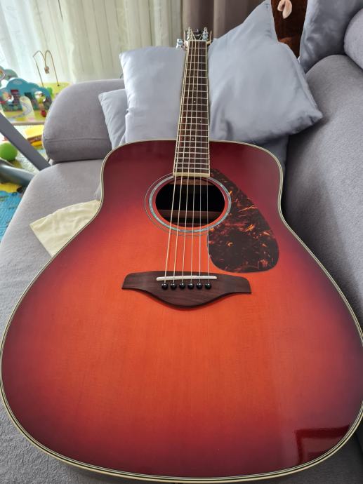 Yamaha FG730s + gator dreadnought case