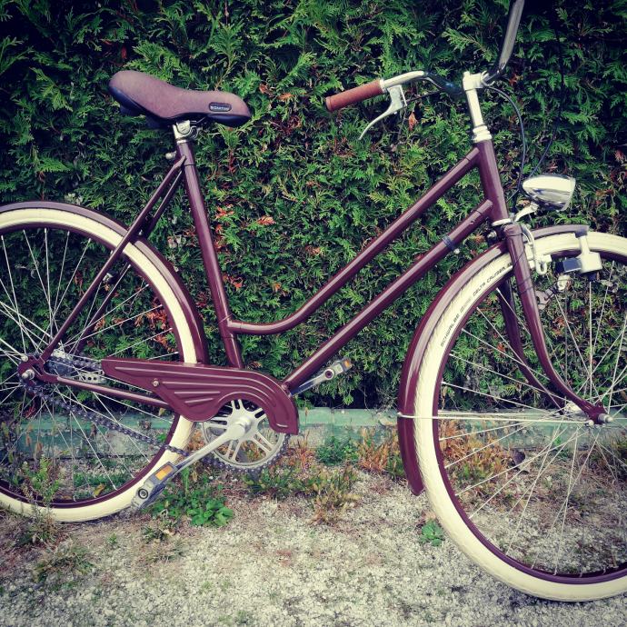 Restaurirani bicikl