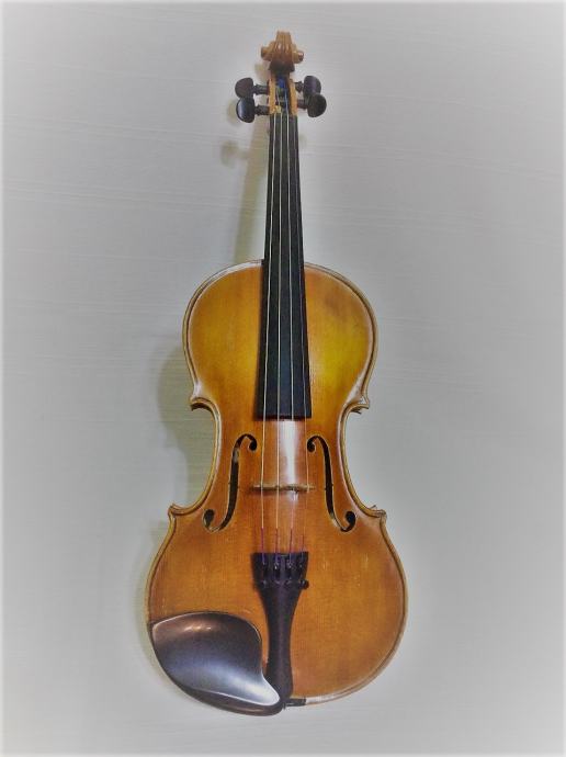 Majstorska violina (4/4) K. Malečeka iz 1971. g. gudalo i kofer gratis