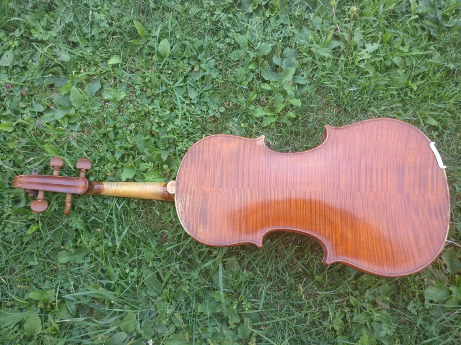 VIOLA 4/4