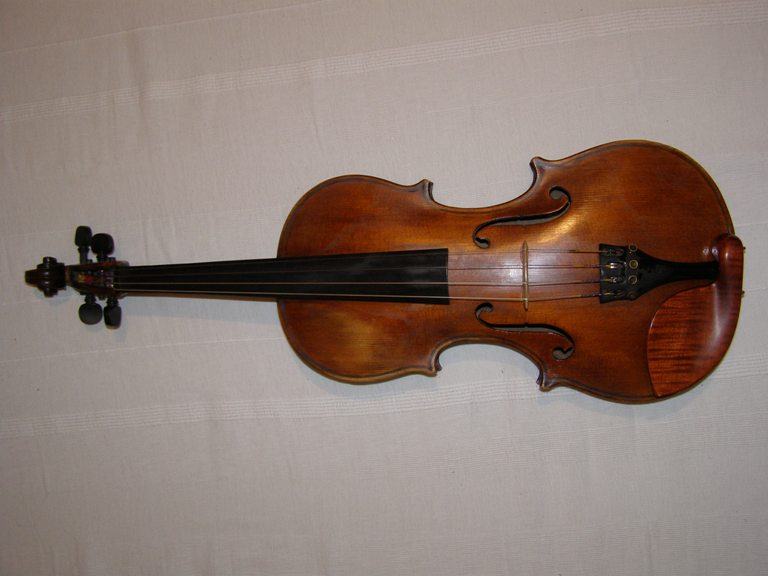 VIOLA