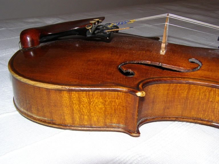 VIOLA