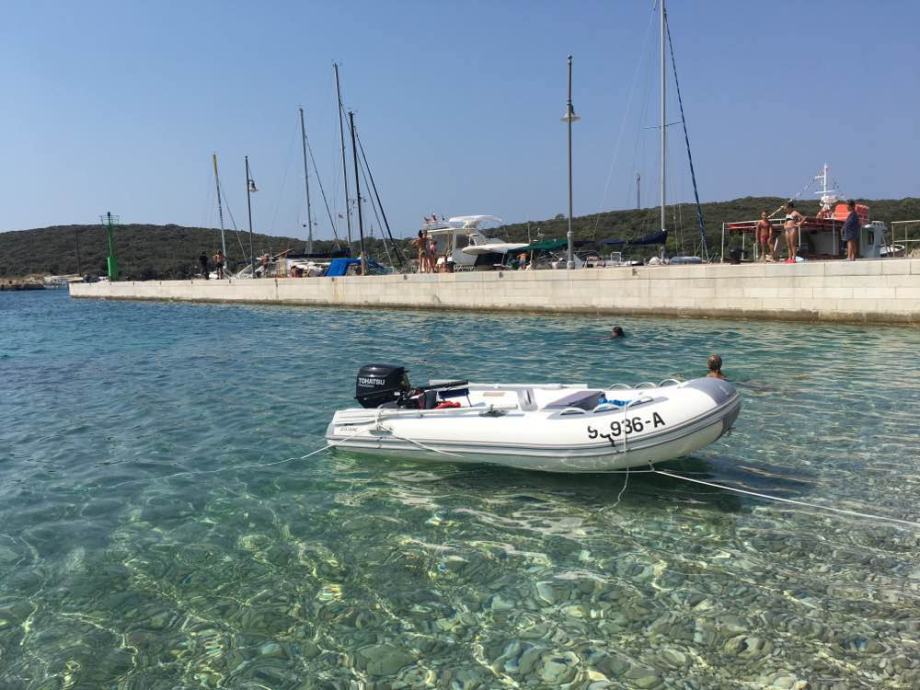 Zodiac 310 / Tohatsu 9.8 4t