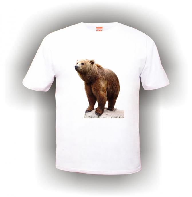 EPSON A3+ PRINTER ZA SUBLIMACIJU