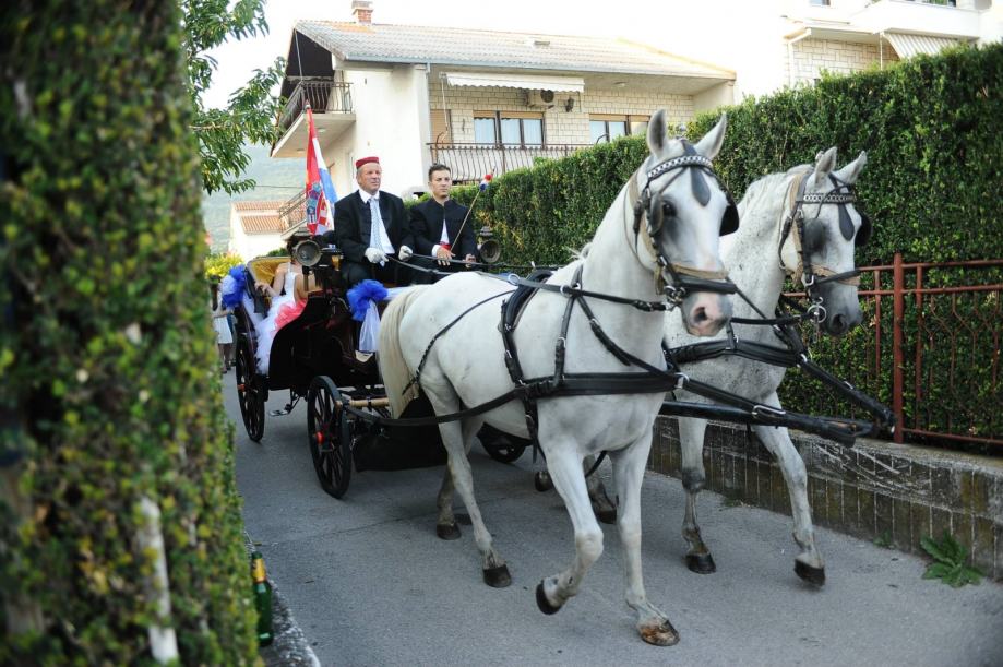 Kočija za vjenčanje Dalmacija