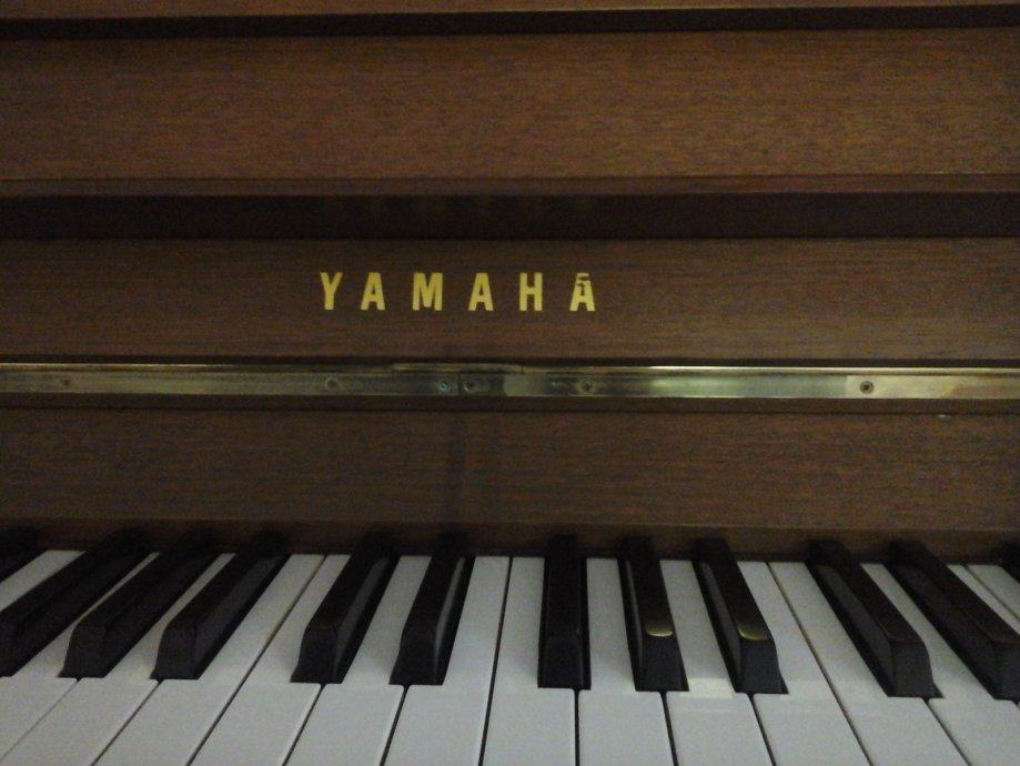 I Pianoforti Ne Hanno Di Solito 88