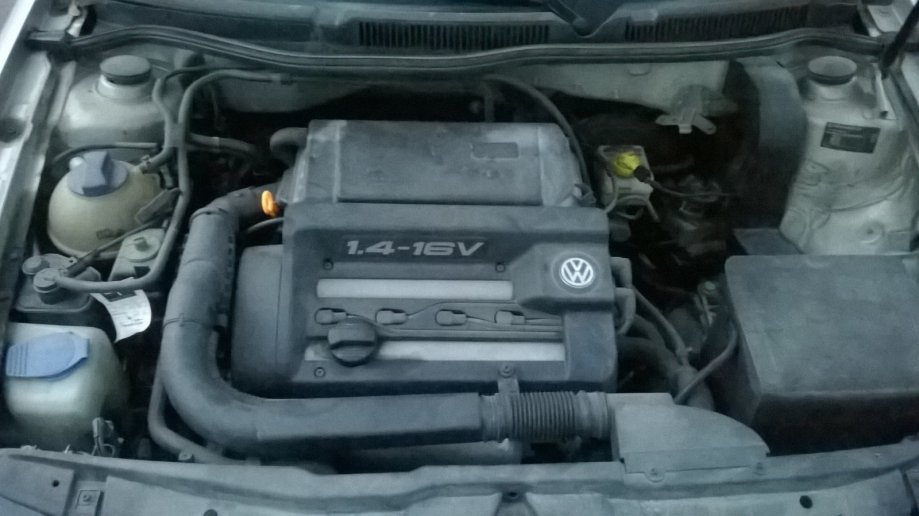 Kollisionskursus Polering Uegnet Motor VW Golf 4 1.4 16V