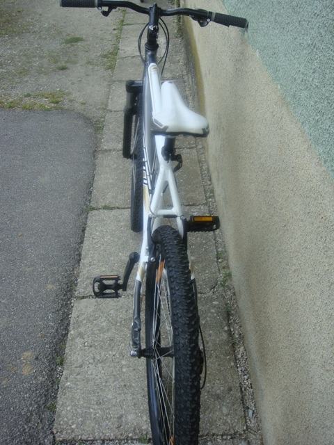 best bike for old man