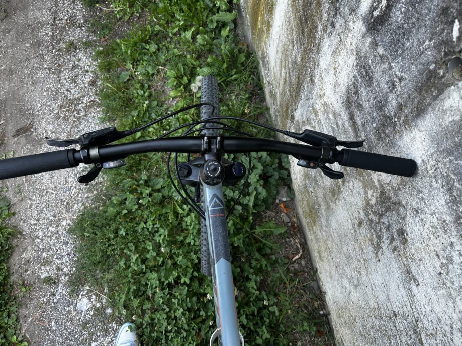 fuji nevada 1.1 2019