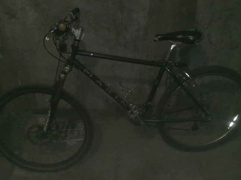 marin bear valley 1991