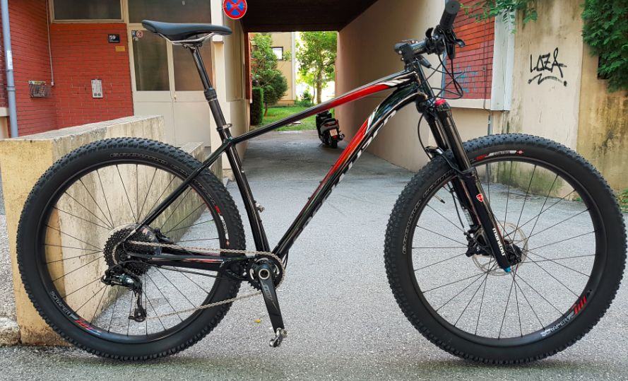 specialized fuse 29er