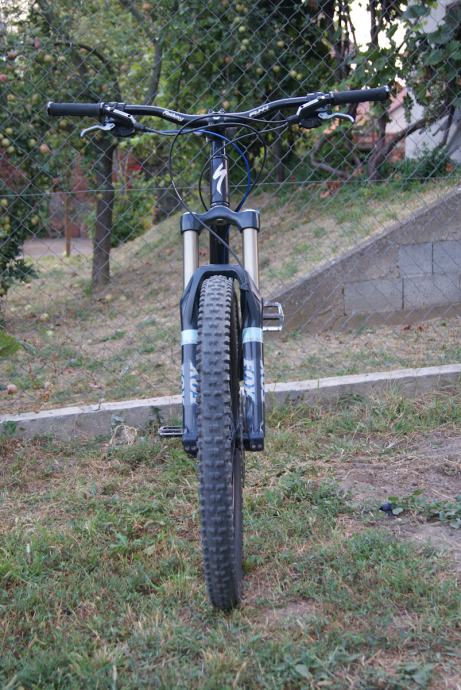 2010 specialized pitch pro