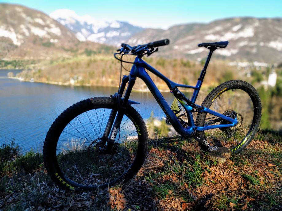 stumpjumper 2019 carbon