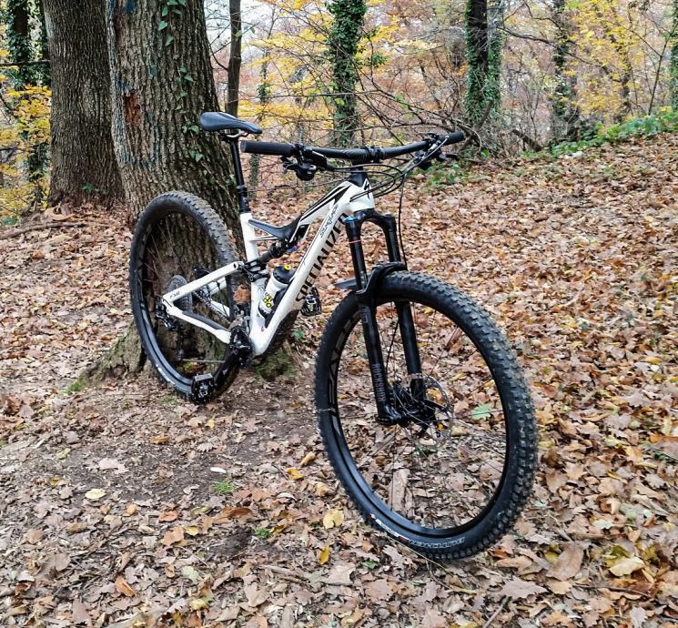 stumpjumper fsr comp carbon 29 2016