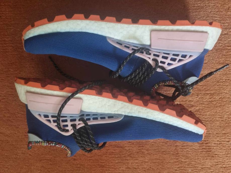 powder blue human race