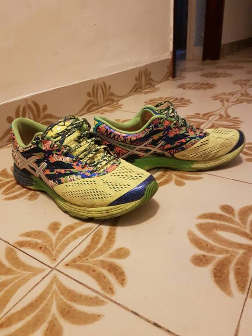 gel nostra tri 11