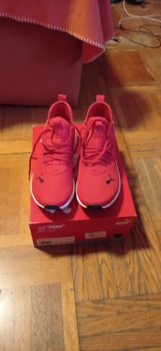 cell vive evo puma