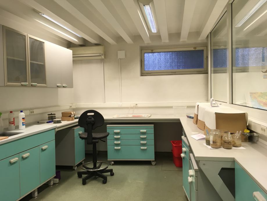 BIOKEMIJSKI LABORATORIJ , Zagreb (Maksimir), PETROVA ulica , 142,07 m2