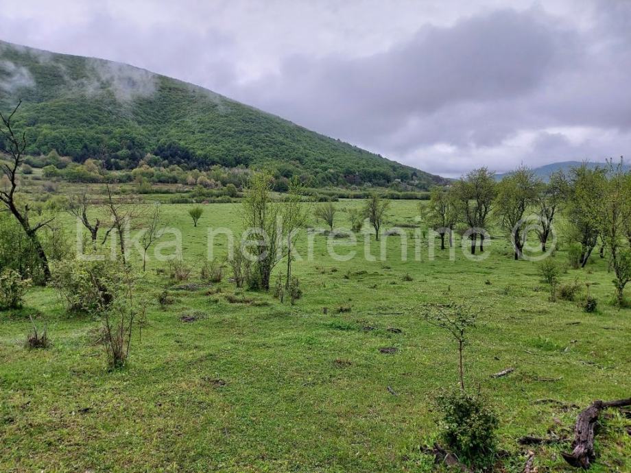 DOLJANI ( Otočac) starinska kuća s 8650 m2 (prodaja)