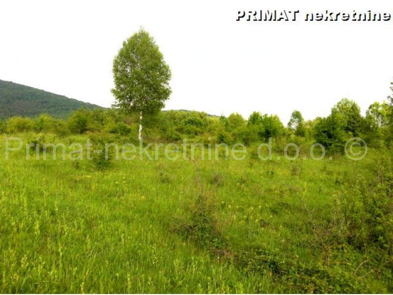 SNIŽENO - Drvena kuća i 7 hektara okućnice - Sjeverna Lika (prodaja)