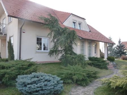 DUBRAVA-Novoselec, Zavrelići, obiteljska vila, 380 m2 (prodaja)