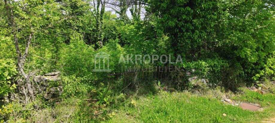 Istra, Marčana poljoprivredno zemljište prodaja