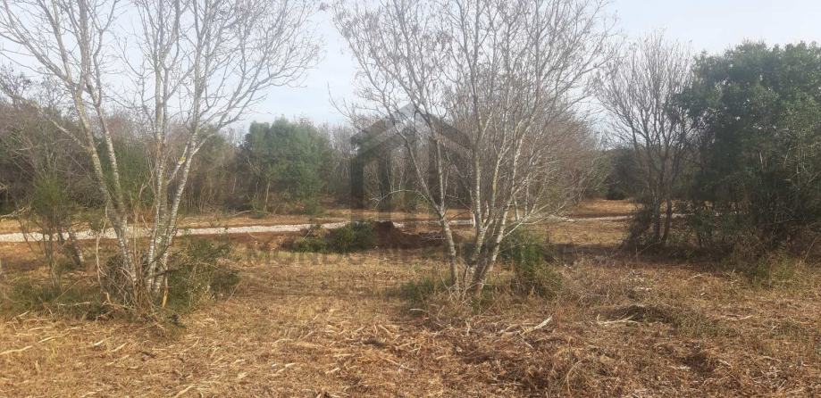Istra, Pula, Građevinska parcela 1000 m2