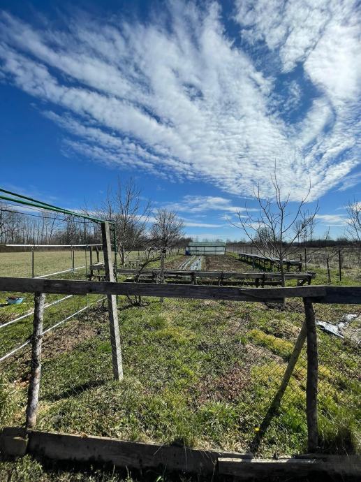 Kuća Čret Posavski, 300.00 m2 (prodaja)