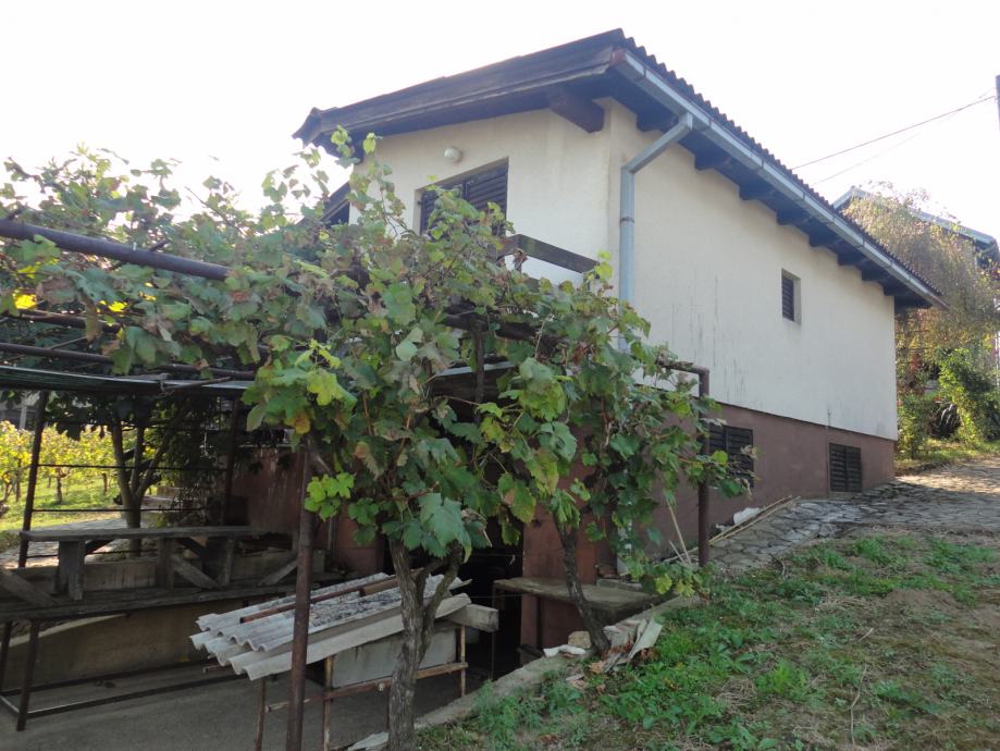 Kuća sa vinogradom i voćnjakom Marčani, 6389m2 (prodaja)