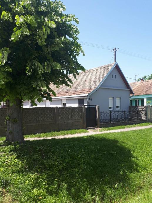 Kuća Novaki Bizovački, Prizemnica, 110 m2, 4740m2 dvorišta s