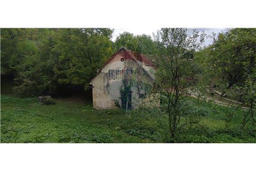 Kuća za obnovu, V. Rakovica, 60 m2, 27.000 € (prodaja)