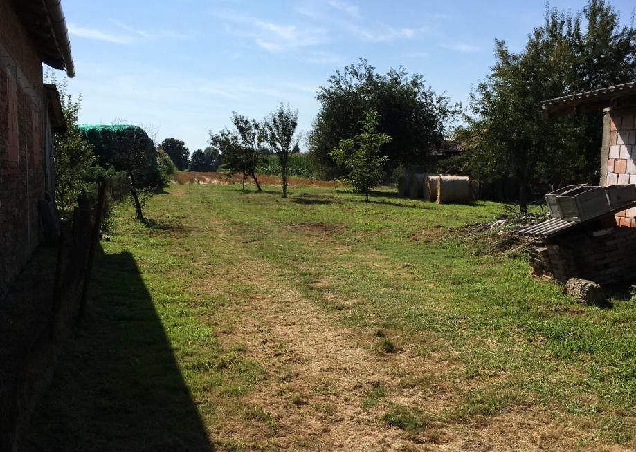 Kuća Veliko Korenovo, visoka prizemnica, 80.00 m2 (prodaja)