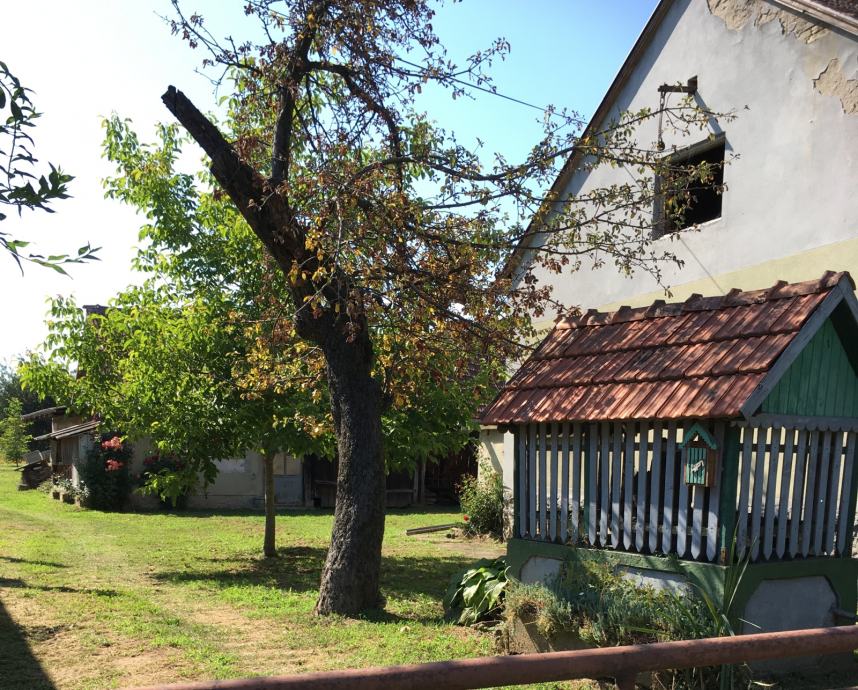 Kuća Veliko Korenovo, visoka prizemnica, 80.00 m2 (prodaja)