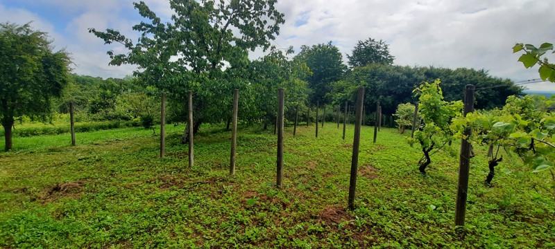 Kuća Vrh Letovanićki, 32.00 m2 (prodaja)