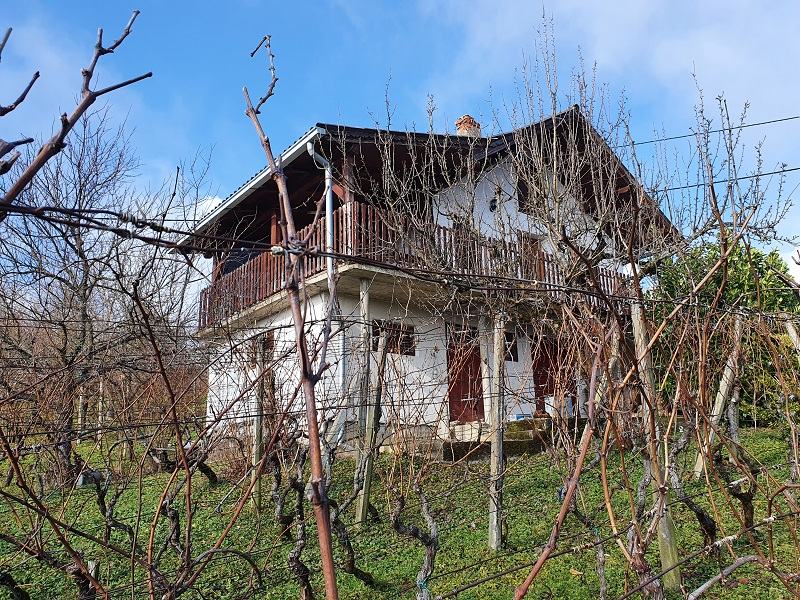 Kuća: Vrh Letovanićki, visoka prizemnica, 50.00 m2 (prodaja)