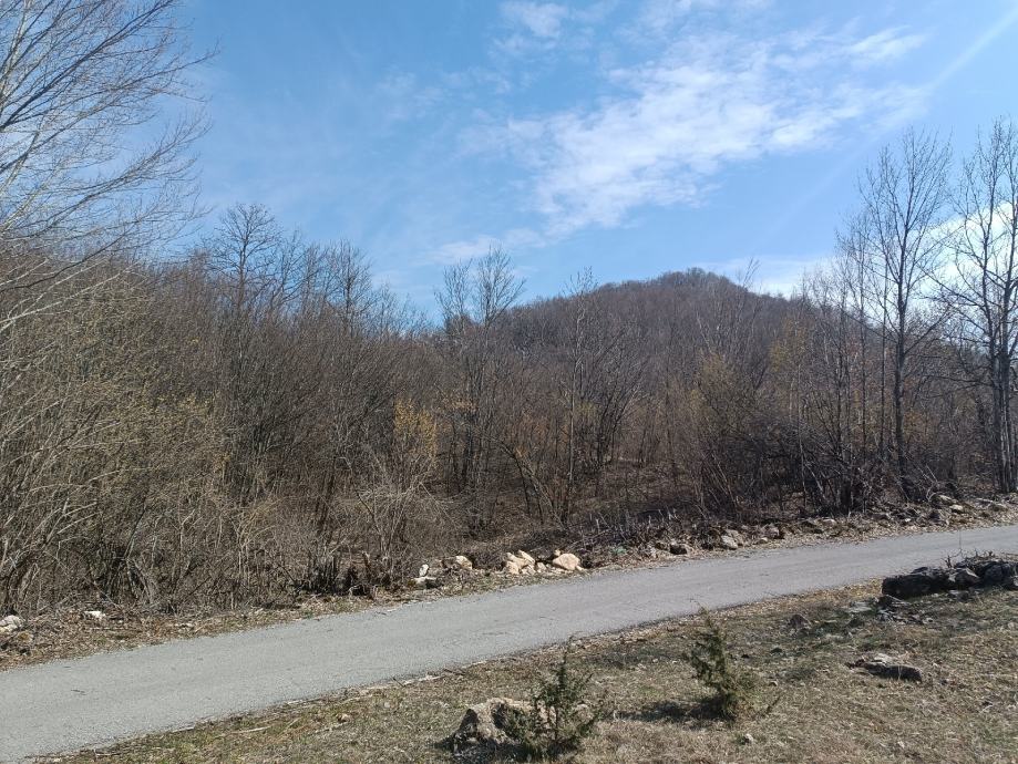 LIČKO CERJE, 4 HEKTARA ZEMLJIŠTA U KOMADU , IDEALNO ZA