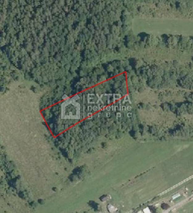 POLJANA LEKENIČKA (LEKENIK) ZEMLJIŠTE SA ŠUMOM