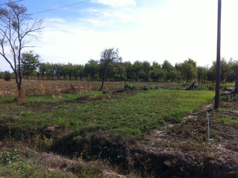 Poljoprivredno zemljište: Andrijaševci, 526 m2