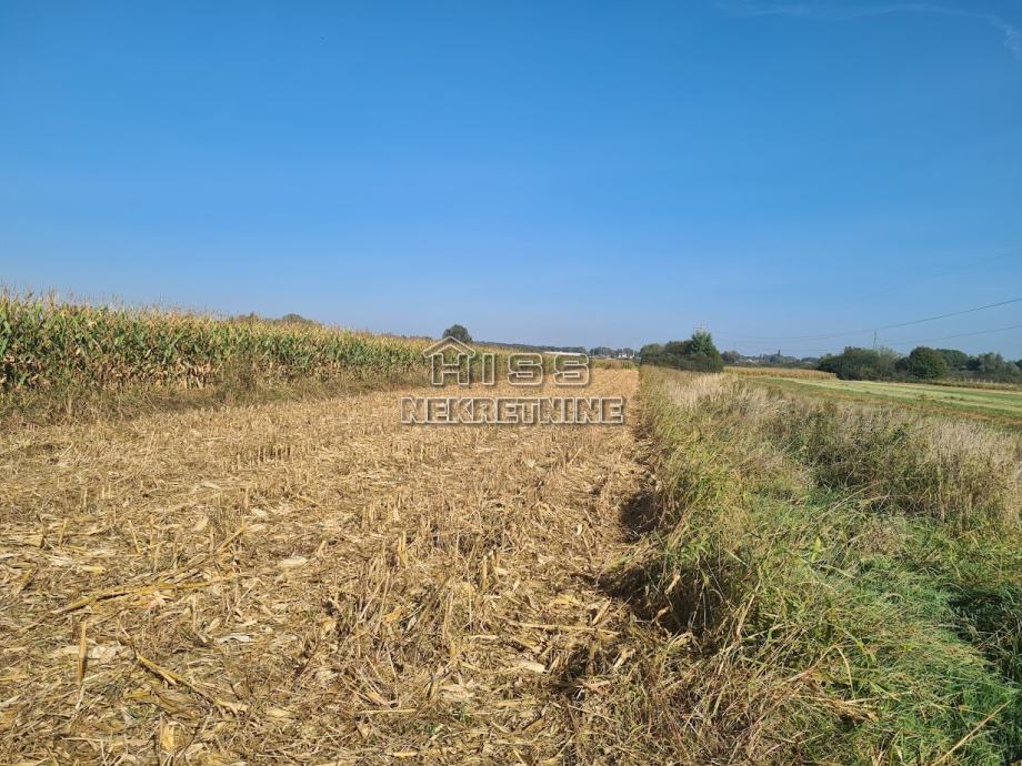 Poljoprivredno zemljište, Beretinec, 2482 m2