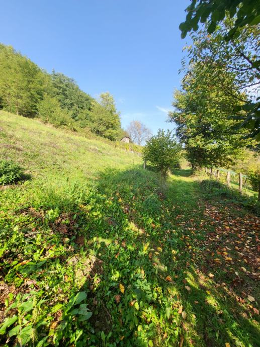 Poljoprivredno zemljište, Donje Mrzlo Polje Mrežničko, 5240 m2