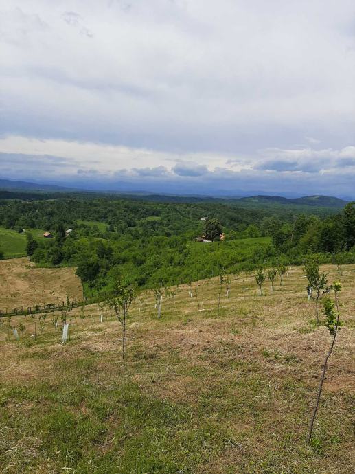 Poljoprivredno zemljište, Gornji Skrad, 450000 m2