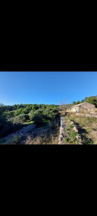 Poljoprivredno zemljište s kamenom kućicom,15500 m2,otok Korčula,