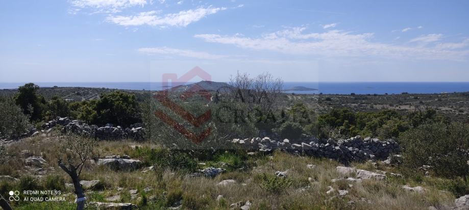 Poljoprivredno zemljište, Primošten Burnji, 1818 m2, maslinik