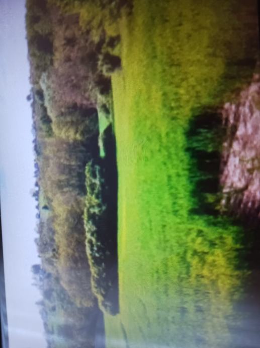 Poljoprivredno zemljište, Stare Plavnice, 4800 m2