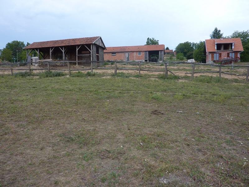 Poljoprivredno zemljište: Tomaš, 132356 m2